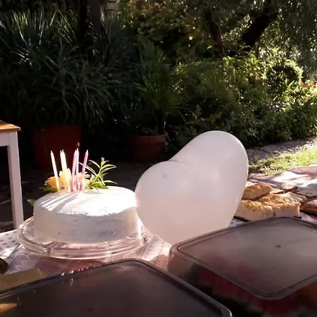 El Rincon Del Artista * Soiano Del Lago