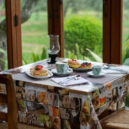 El Rincon Del Artista Bed and breakfast